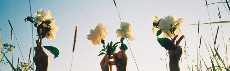 Two women raise white flowers in a sunny field, capturing summer joy and freedom.